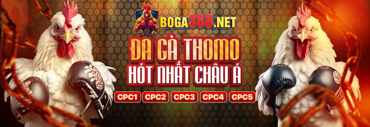 Các giá trị cốt lõi của p3 h5: bảo mật, hỗ trợ, đổi mới